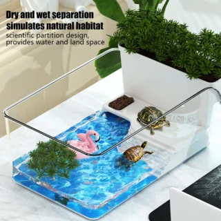 Small Turtle Tank Transparent Turtle Terrarium Small Tortoise Aquarium for Terrapin Home School Science Class Community Animal